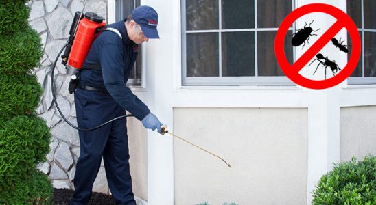Pasinler Karınca İlaçlama böcek ilaçlama ve haşere kontrolü — ilaclama-tr.com